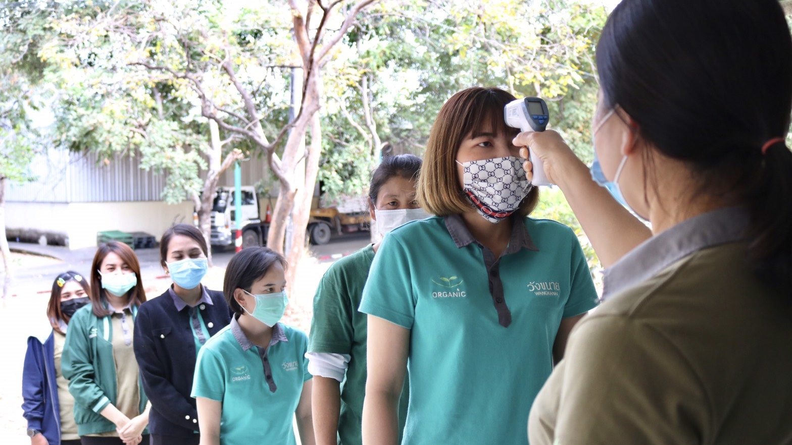 Wangkanai, kum, builds confidence  Making sugarcane farmers ready for the COVID-19 epidemic