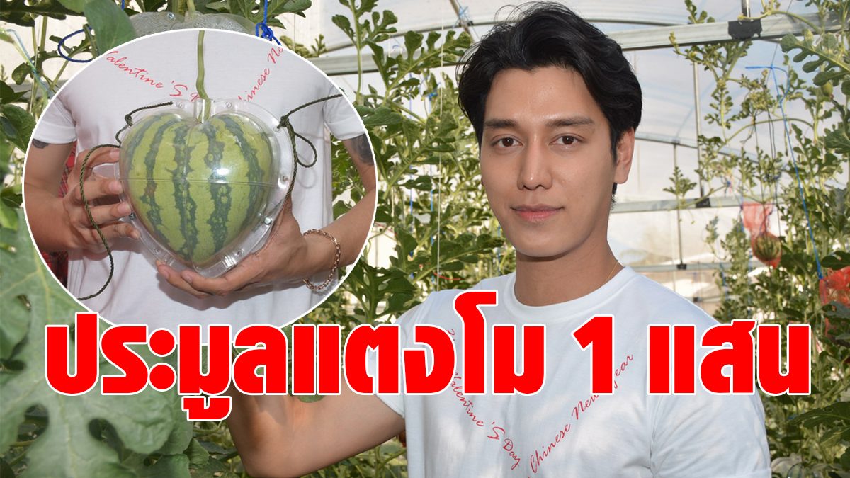 Close auction of heart-shaped watermelon 100,900 baht MP Sisaket gave to his wife on Valentine’s Day