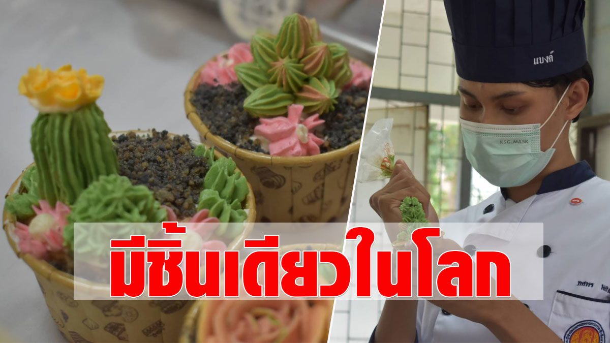 Like the soil!  Cactus cupcakes  Associate Professor, Trang Technical  Unique selling  A cup of unique