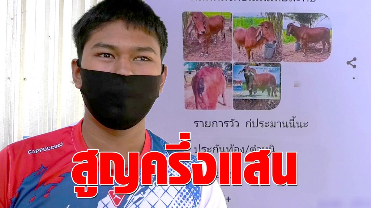 The young man gets insurance money from his brother.  Invest in cattle and build a career.  Finally, being deceived and lost half a hundred thousand – fresh news