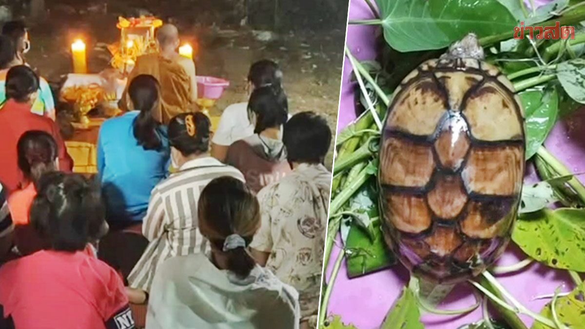 แห่ขอโชคลาภ กุมารี-เต่าหับ เลขเด็ดโผล่ตลับขี้ผึ้ง เผย ให้โชคหลายงวด