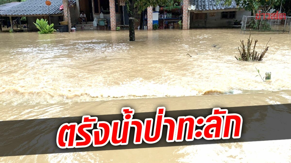 ตรังอ่วม! หลังฝนเทหนัก น้ำป่าเทือกเขาบรรทัด ทะลักเข้าท่วม3อำเภอ ระดับน้ำสูงสุด2เมตร