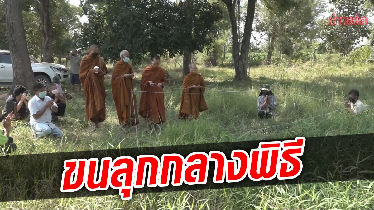 ขนลุกกลางพิธี! แม่เชิญวิญญาณลูกที่เหลือแต่กระดูก หมา 8 ตัว หอน-เดินวน พี่สะใภ้เผยความฝัน