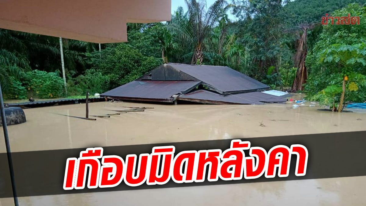 ชุมพรหนักหน่วง! เจอฝนถล่มสะสม น้ำท่วมเกือบมิดหลังคา ปิดทางหลวงสายเอเชีย อ.สวี ถนนจม