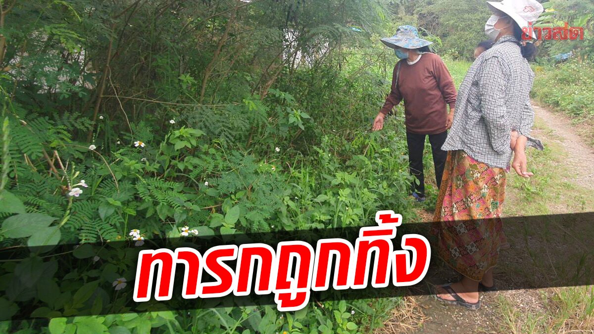 คิดว่าเสียงแมว! พบทารกถูกทิ้งในพงหญ้า ชาวบ้านรีบเข้าช่วย ตัดสายสะดือ