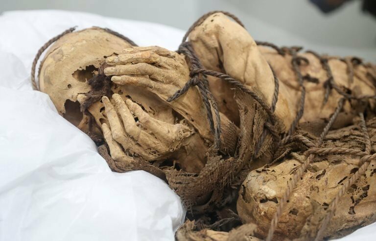 The pre-Inca Mummy of Cajamarquilla, presumed to be between 800 and 1200 years old, is exhibited at the Universidad Mayor de San Marcos, in Lima, Peru December 7, 2021