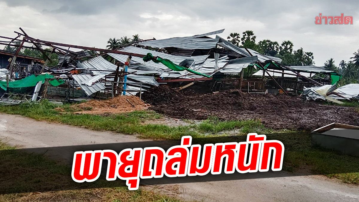 ชาวบ้านระทึก! ลมเงียบผิดปกติ ก่อนพายุซัด ฟาร์มโคขุนถล่ม-บ้านพังยับ