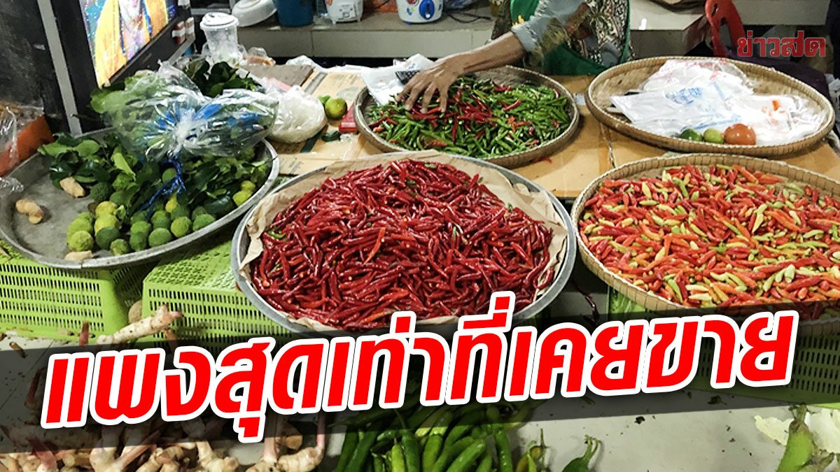 ราคาพริก พุ่งปรี๊ด! กิโลกรัมละกว่า 200บาท มะเขือเทศ ปรับราคาขึ้นด้วย