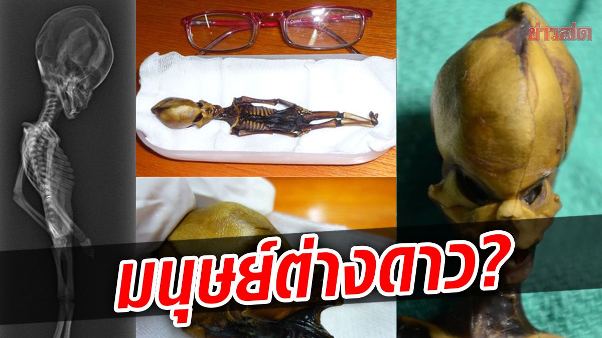 เผยปริศนา มัมมี่เล็กจิ๋ว ขนาด 6 นิ้วขุดพบที่โบสถ์ร้างในชิลี ลักษณะคล้ายกับมนุษย์