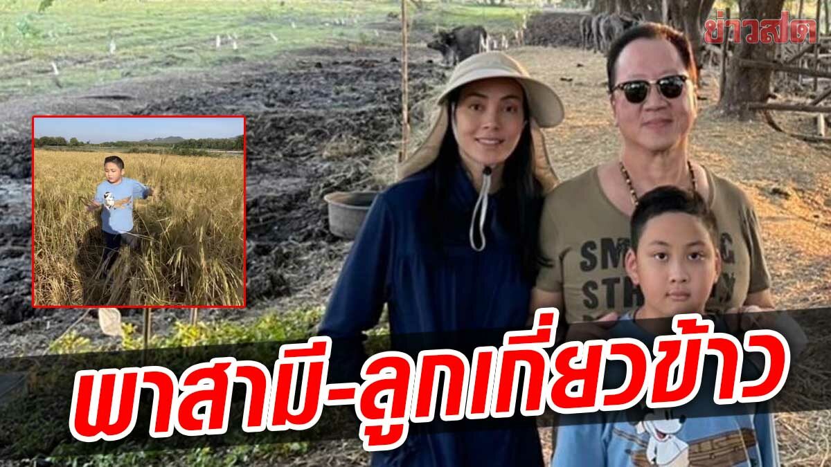 รับบทชาวนา! ตั๊ก บงกช ควง “คุณบุญชัย-น้องข้าวหอม” ลงนาจับเคียวเกี่ยวข้าว