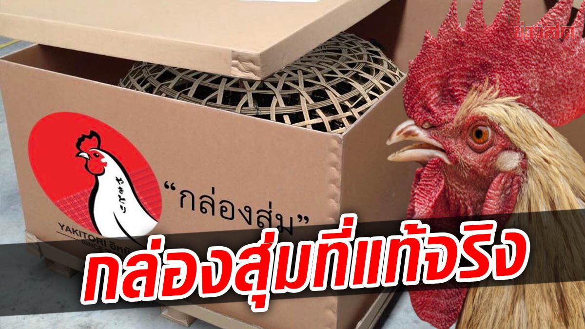 สุดครีเอท! ร้านไก่ย่างดัง ตามเทรนด์ฮิต เปิดกล่องสุ่มที่แท้จริง ชี้ไก่หนีระหว่างส่ง