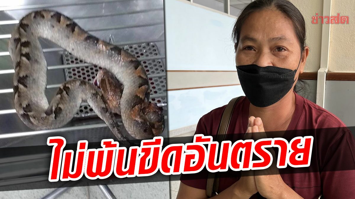 ยังไม่พ้นขีดอันตราย! ด.ญ.10 ขวบโดนงูกัด คนแห่บริจาคเลือดช่วย-รอลุ้นอาการ