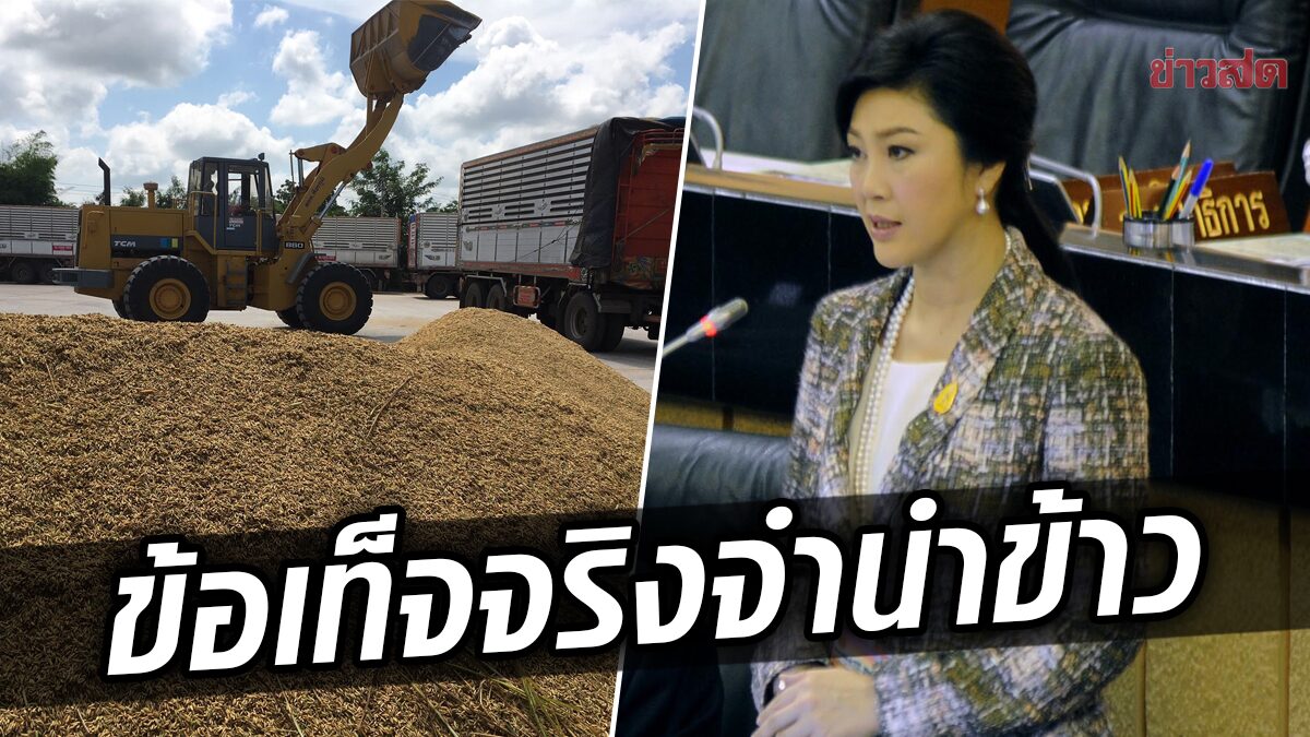 พท.เปิด 4 ข้อเท็จจริง ‘จำนำข้าว’ เบรกรัฐ บิดเบือน-ปกปิด หนี้โครงการของตัวเอง