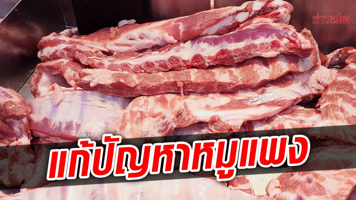 พาณิชย์เตรียมแก้ปัญหา หมูแพง ชี้ร้านไหนไม่มีป้ายบอกราคา แจ้งได้