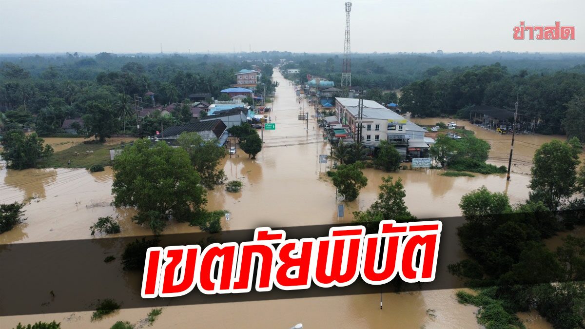 สุราษฎร์หนัก ประกาศภัยพิบัติ 13 อำเภอ หลังฝนกระหน่ำ น้ำท่วมหลายจุด