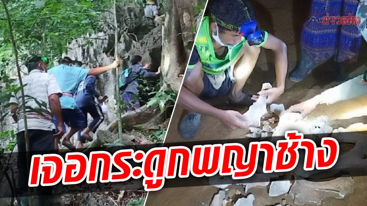 พบกระดูกพญาช้าง ในถ้ำบ้านหินจอก ชาวบ้านแห่ลักเพียบ มีคนเจอดี