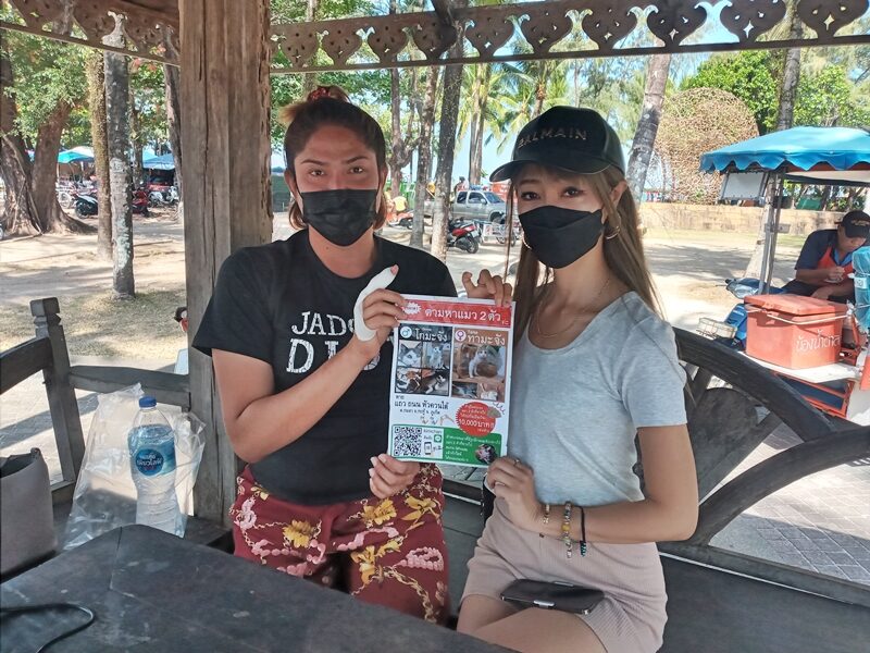 สาวทุ่มสุดตัว ขึ้นป้ายยักษ์กว่า 3 กว่าแสนบาท ประกาศ ตามหาแมว วอนทั้งน้ำตา ใครเจอช่วยนำส่งด้วย