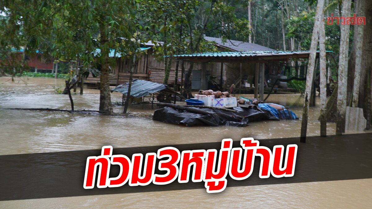 พัทลุงอ่วม ฝนตกน้ำหลากท่วม 3 หมู่บ้าน เร่งอพยพชาวบ้าน ช่วยขนย้ายสัตว์ขึ้นที่สูง