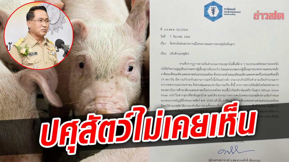 อธิบดีปศุสัตว์ ยันไม่เคยเห็นหนังสือ “ภาคีคณบดี” ตรวจซากหมูเจอโรค AFS