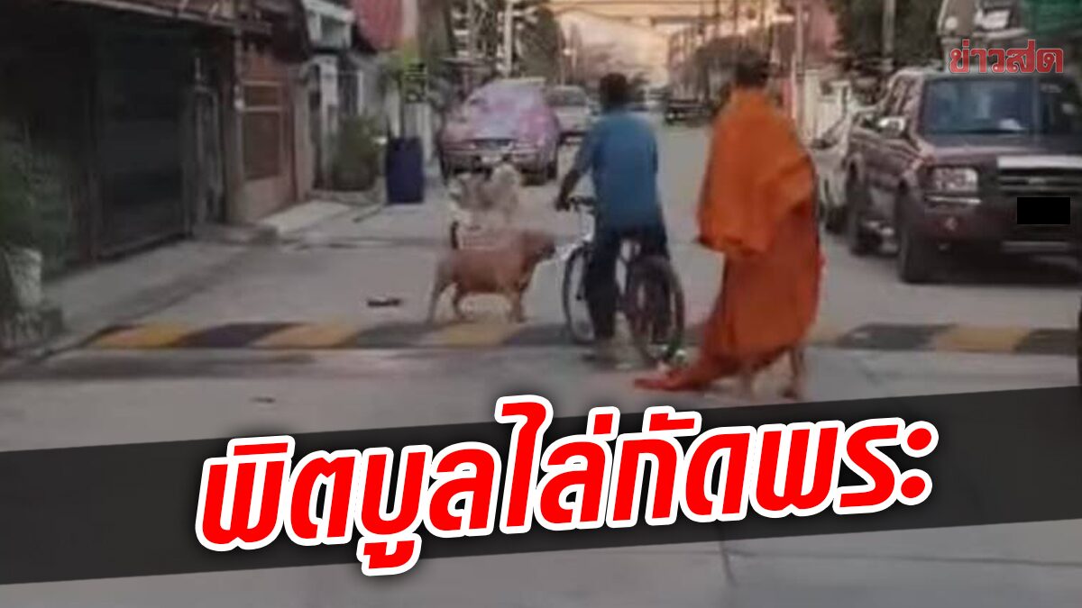 พิตบูลไล่กัดพระบิณฑบาต ล้มกระแทกพื้นบาดเจ็บ เจ้าของหมายังไม่รับผิดชอบ