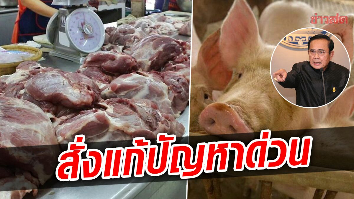 บิ๊กตู่ออกโรง สั่งก.พาณิชย์ แก้ปัญหา หมูแพง วอนห้างร้าน ช่วยตรึงราคา