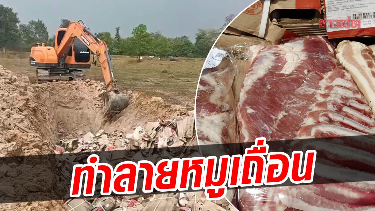 ด่านกักกันสัตว์มุกดาหาร ทำลายฝังกลบ หมูเถื่อนรัสเซีย 24 ตัน หวั่นนำเชื้อโรคเข้ามาแพร่ระบาด