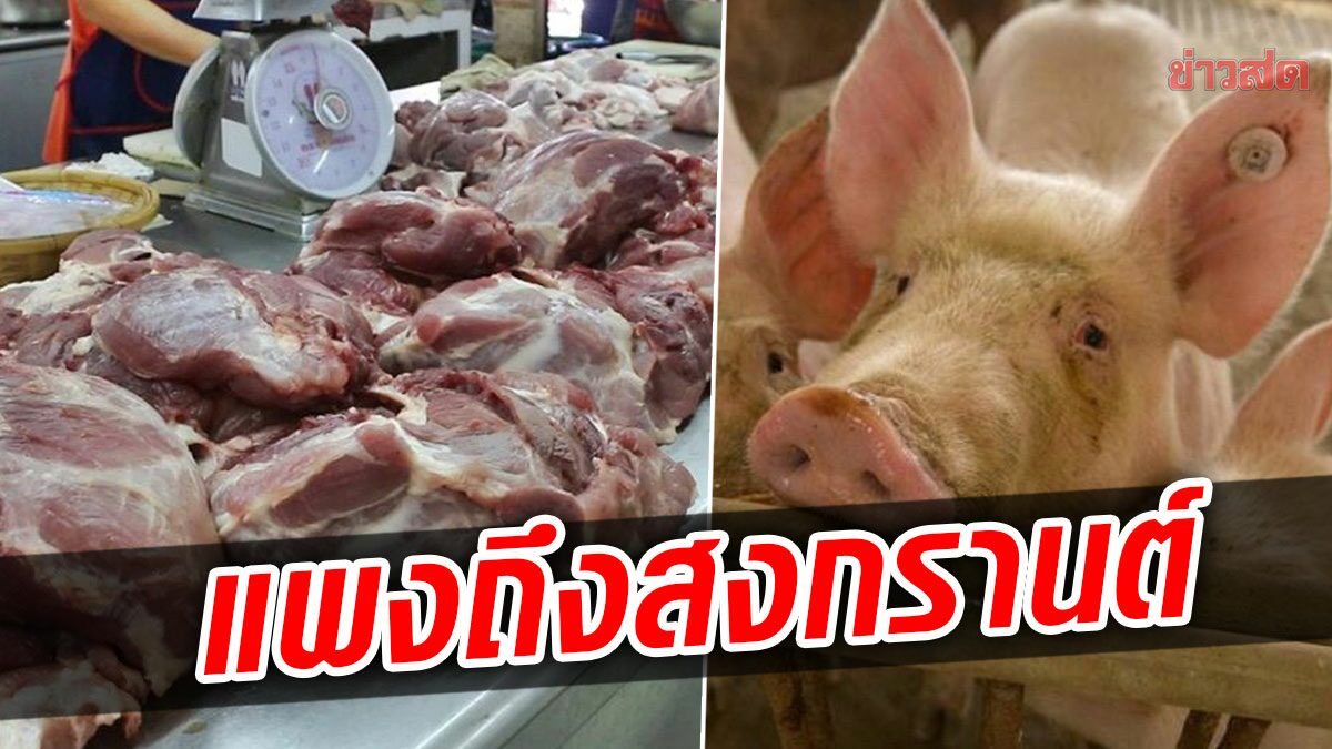 คาดหมูแพง ต่อเนื่องถึงตรุษจีน ยาวถึงสงกรานต์ วอนรัฐบาลช่วยแก้หนี้ด้วย