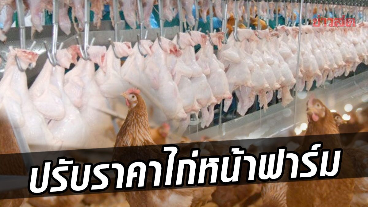 พุ่งอีก! สมาคมส่งเสริมการเลี้ยงไก่ฯ แจ้งปรับขึ้นราคา ‘ไก่หน้าฟาร์ม’ กก.ละ 3-5 บาท หลังต้นทุนเพิ่ม