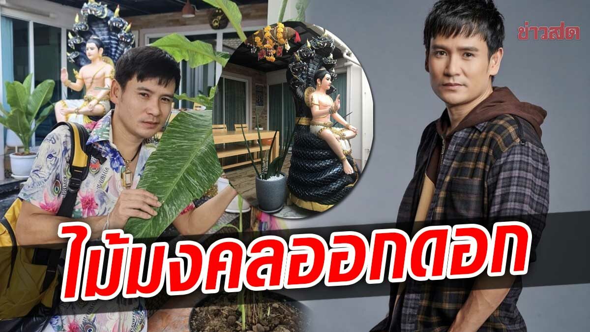 ไผ่ พงศธร เหมือนได้รับพร “ว่านงาช้างออกดอก” เชื่อธุรกิจจะสำเร็จในเร็ววัน