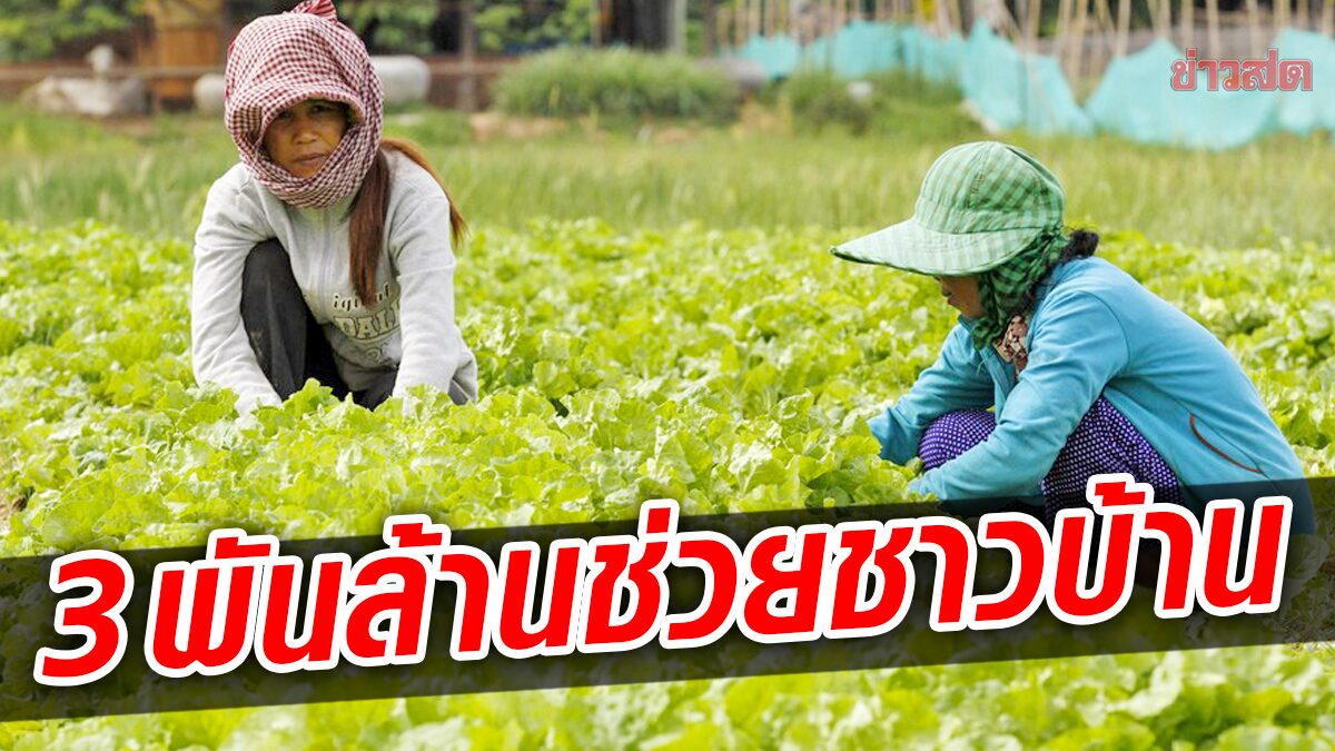 รัฐบาลกัมพูชาทุ่ม 3 พันล้าน อัดฉีดธนาคารช่วยเกษตรกร-เอสเอ็มอี