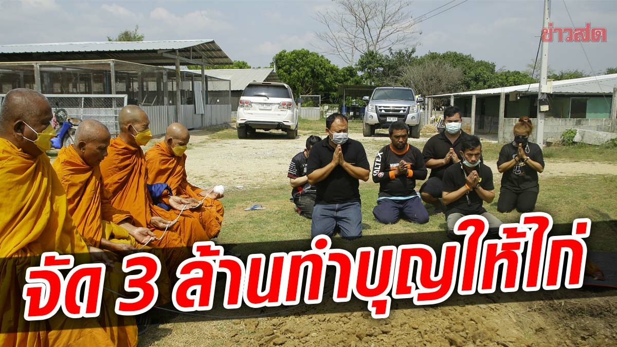 ทุ่ม 3 ล้านทำบุญ หลังไก่ชนสุดรัก จากลา จัดพิธีสมเกียรติ รับสุดอาลัย