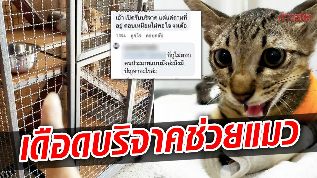 หัวร้อนเลย สาวโพสต์ถามบ้านแมวจะเอาของไปบริจาค โดนด่าสาระแนจับผิด