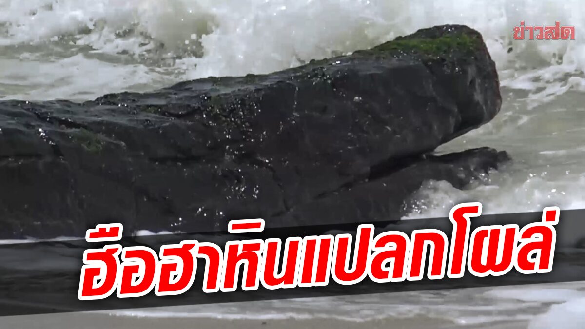 ฮือฮา  หินประหลาด คล้ายหัวจระเข้นอนอ้าปาก โผล่ชายหาดสมิหลา