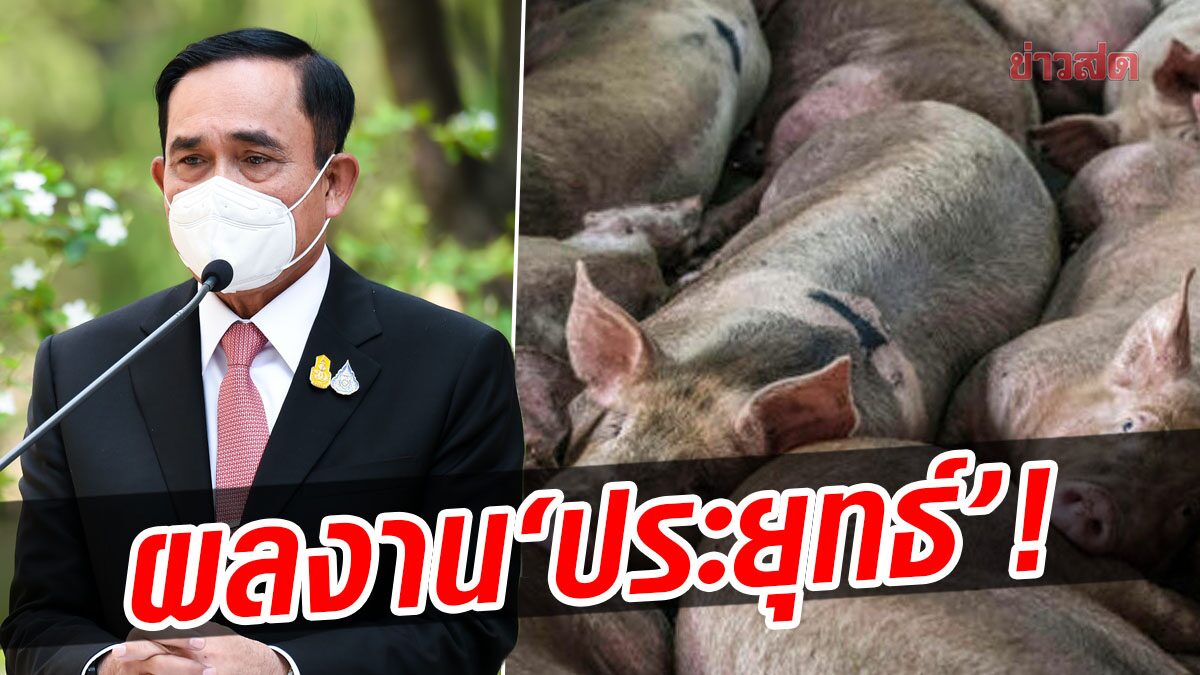 ‘โฆษกรัฐบาล’ โวลั่น หมูราคาลดลง ผลงาน ‘ประยุทธ์’ สั่งแก้ปัญหารวดเร็ว-เด็ดขาด-จริงจัง