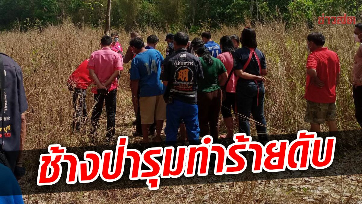 สลด ช้างป่ารุมทำร้าย คนงานกรีดยาง ดับ เผยเป็นรายที่7 ในรอบ3เดือน