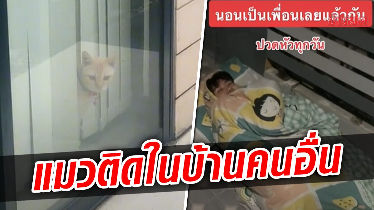 ทาสใจจะขาด แมวสุดรักติดในบ้านคนอื่น 3 วัน วุ่นต้องตามเจ้าของบ้านมาเปิดให้