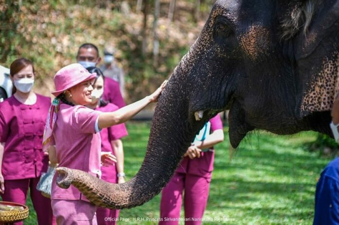 เจ้าฟ้าสิริวัณณวรีฯ ทรงเยี่ยมพลายบุญหนา พังฟ้าแจ่ม รับไว้ในพระอุปถัมภ์