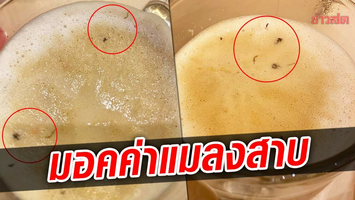 โวยร้านชาบูดัง เจอแมลงสาบ2รอบ ได้คำชี้แจงห้างกำจัดแมลงเลยไปหลบอยู่