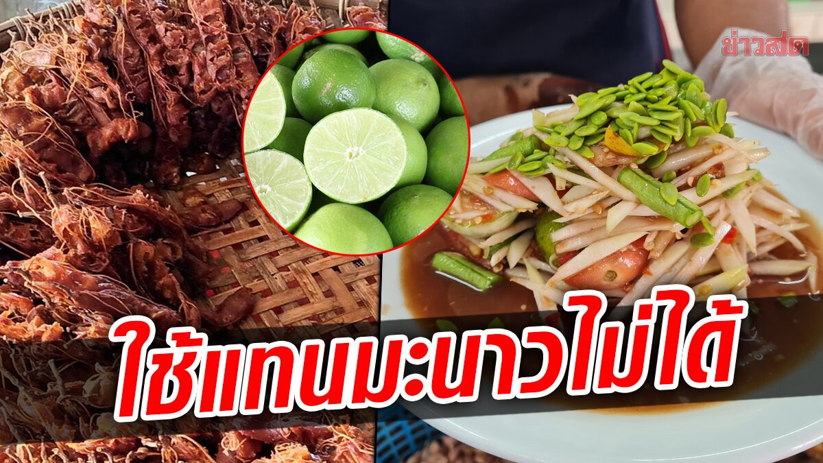 ร้านส้มตำซัด ถ้าทำตามที่รัฐแนะนำ ลูกค้าหายแน่ ลั่นใช้มะขามเปียกแทนไม่ได้