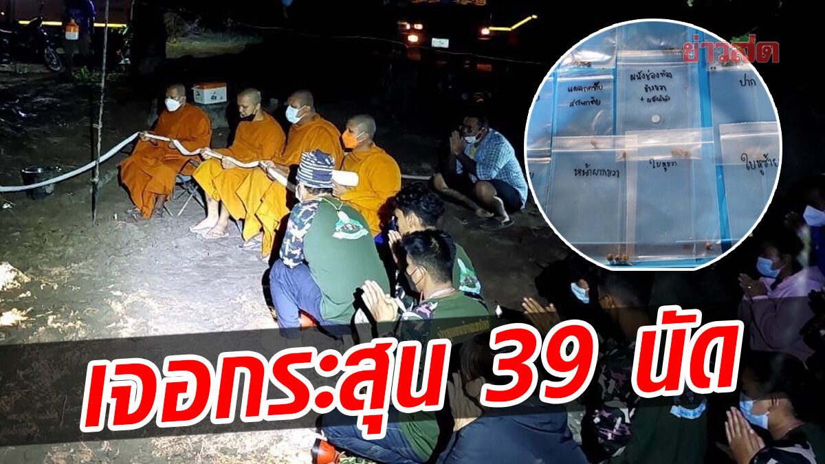 อาลัย ‘พลายโค้ก’ ช้างป่าบาดเจ็บล้มแล้ว สลดผลผ่าซาก พบกระสุน 39 นัด 