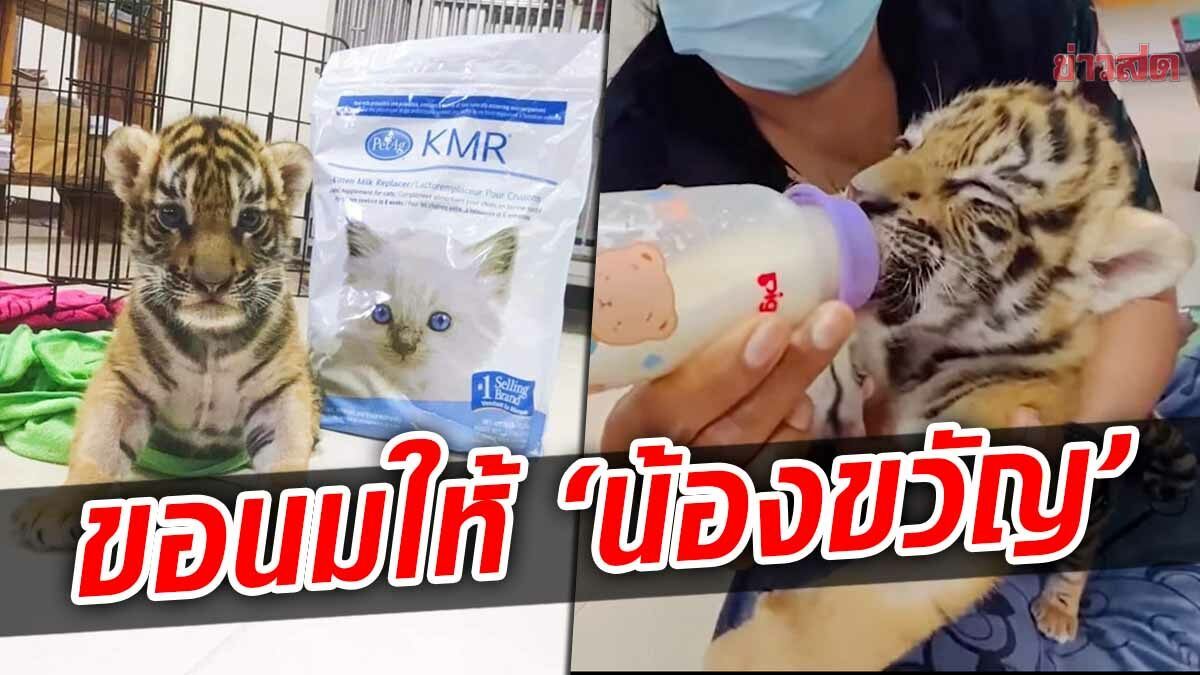 ‘น้องขวัญ’ กินเก่งมาก! จนท.ชวนส่งนมผง KMR พร้อมของใช้ เผยต้องกินอีกหลายเดือน