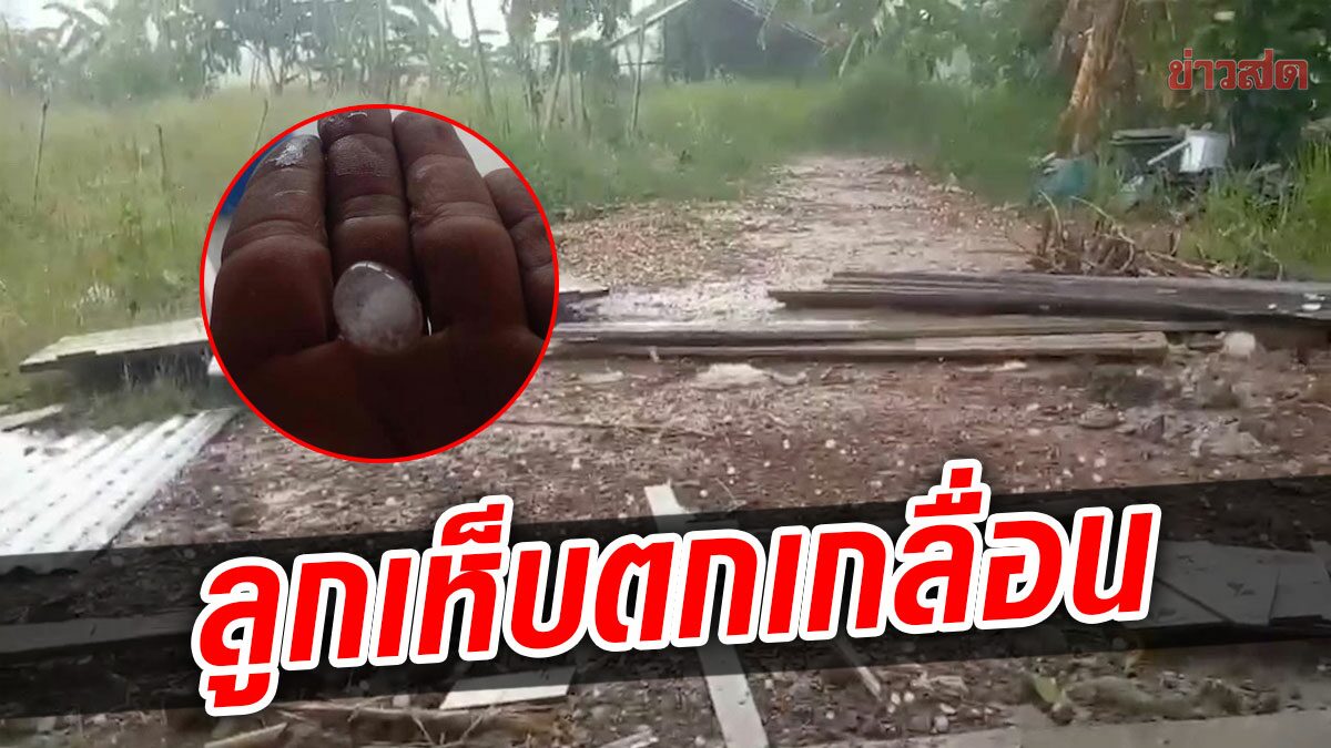 พายุฝนถล่มขอนแก่น ซัดต้นไม้ล้ม หลังคาบ้านปลิวว่อน ลูกเห็บตกเพียบ