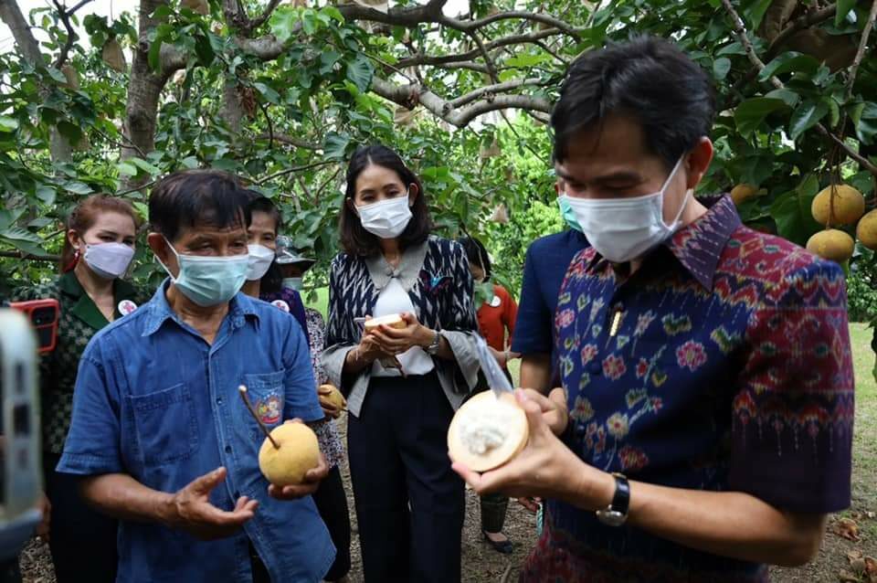 ชวนประชาชน-นทท. เที่ยวชมชิม ผลิตภัณฑ์กระท้อนหวาน ของดีเมืองลพบุรี