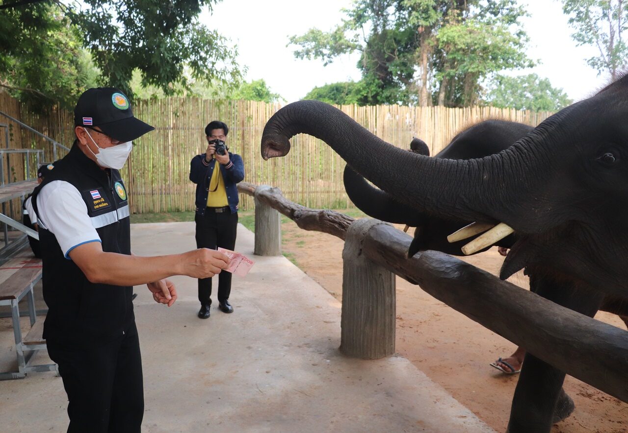 สกลนคร เปิดแหล่งท่องเที่ยวแห่งใหม่ ปางช้างเผือก ชูเมือง 3 ธรรม ดึงดูดนทท.