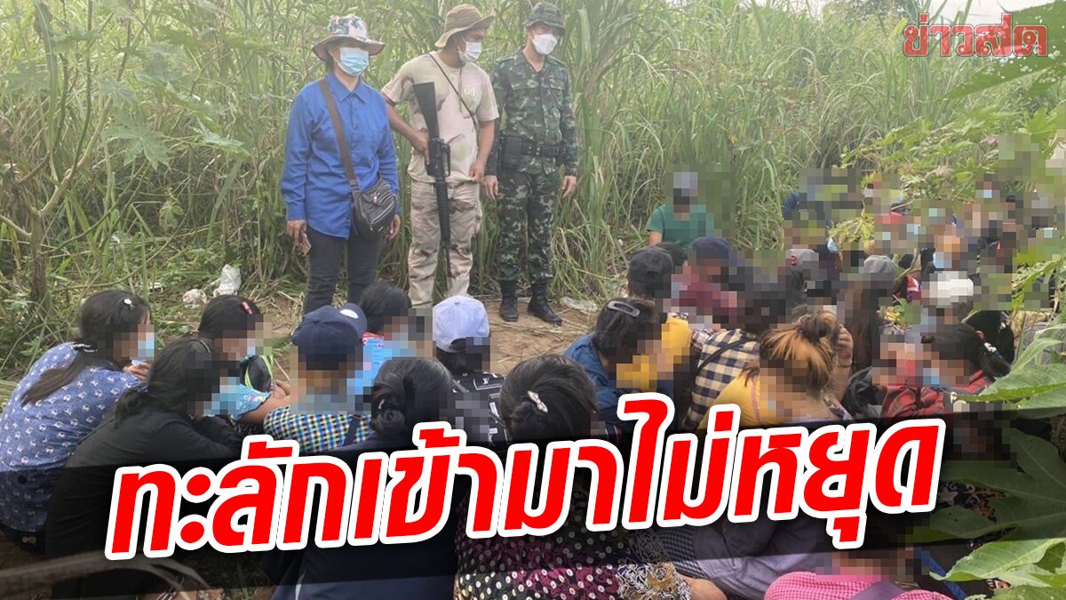 สนธิกำลัง จับ54แรงงานพม่า แก๊งขนต่างด้าวเหิมหนัก โรยตะปูเรือใบ สกัดจนท.