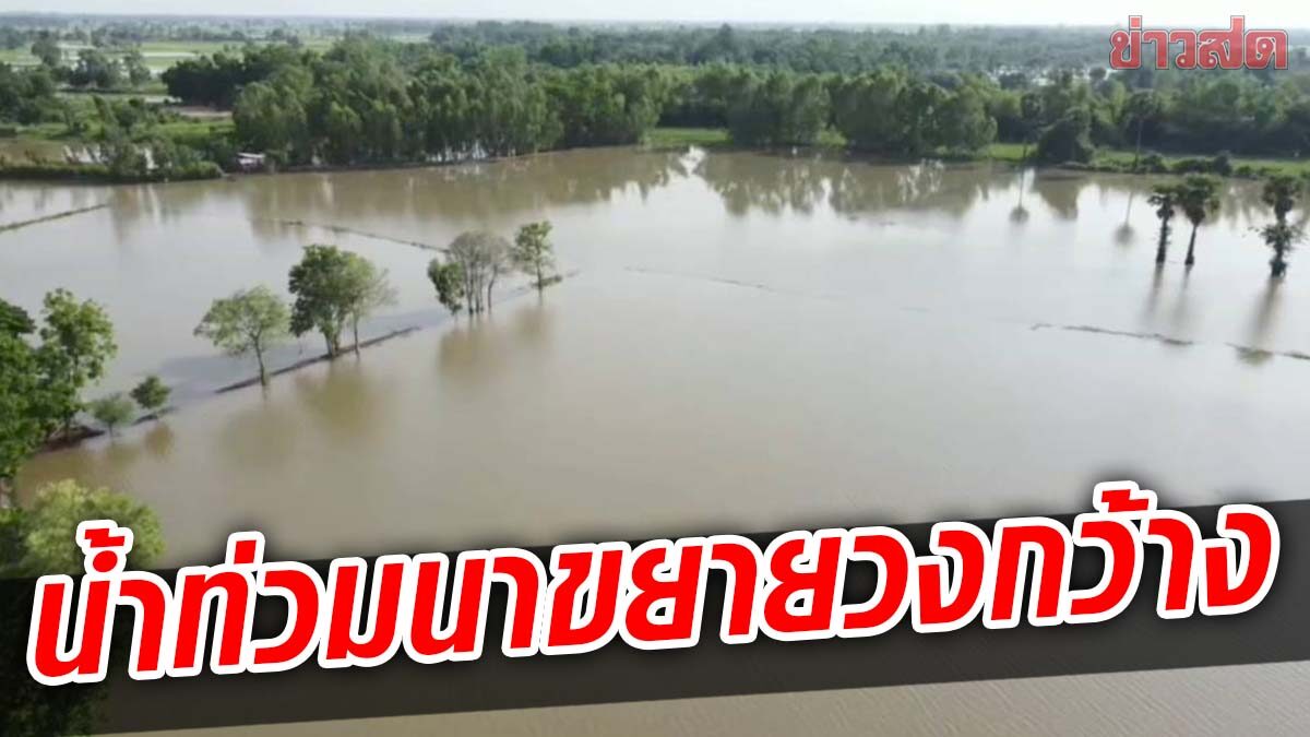 น้ำท่วมพิมาย ขยายวงกว้าง นาข้าวทุ่งสัมฤทธิ์เสียหาย กว่า 500 ไร่