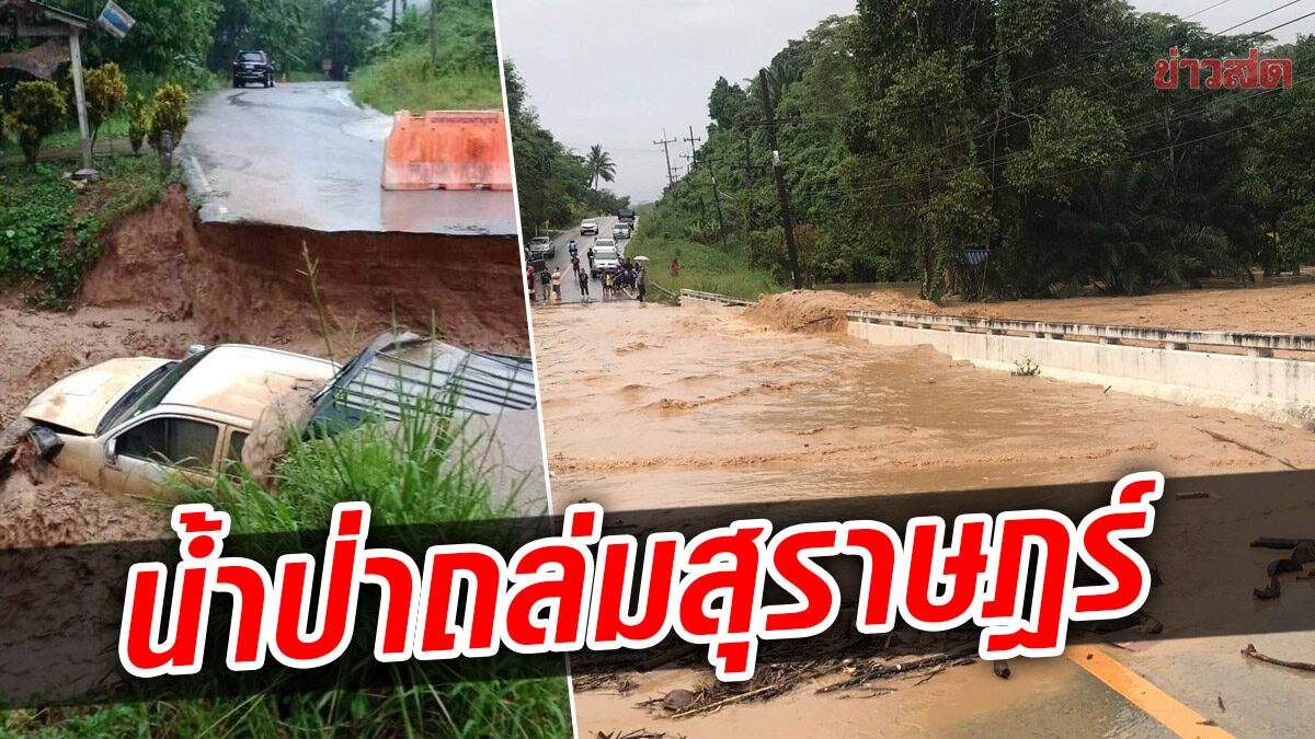 สุราษฎร์อ่วม! ฝนตกหนัก น้ำป่าถล่ม ท่วมบ้านเรือน 3 อำเภอ จนท.เร่งช่วยเหลือ