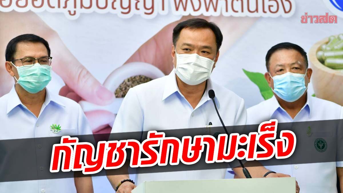 อภ.ผลิตน้ำมันกัญชา สูตรที่ 4 รักษามะเร็งระยะสุดท้าย รอประกาศเข้าบัญชียาหลักฯ