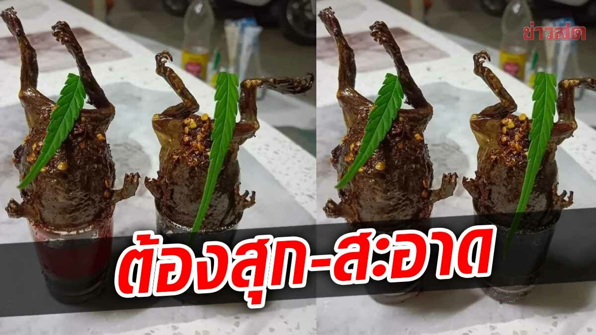 ​กรมอนามัย เตือน “อึ่งช็อต” ระวังหนอนพยาธิ ต้องปรุงสุก ล้างสะอาดทั้งตัว-เครื่องใน