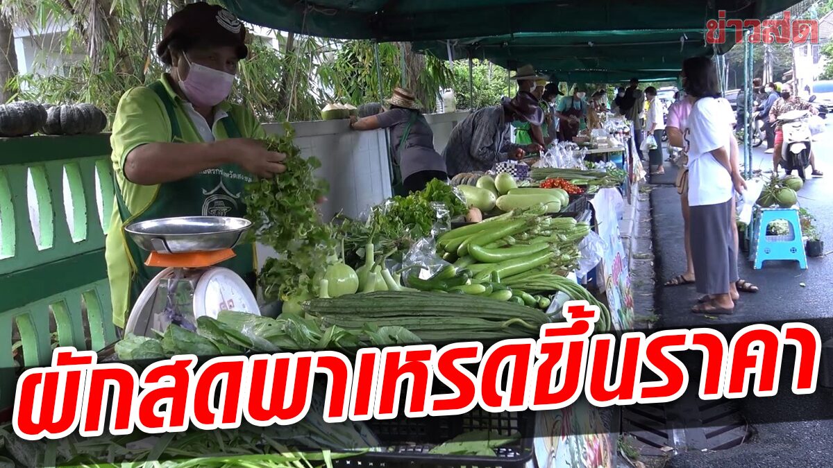 น้ำมันพุ่งสูง! ผักตลาดสดพาเหรดปรับขึ้นราคา พาณิชย์กำชับติดป้ายสินค้าชัดเจน